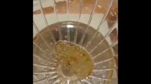 Под бой курантов янтарь танцует в шампанском