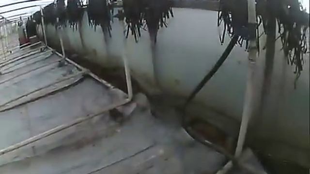 Водяная система отопления в теплице своими руками смотреть онлайн