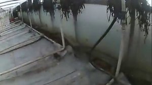 Водяная система отопления в теплице своими руками