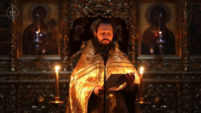 Что такое беснование и как его опознать?