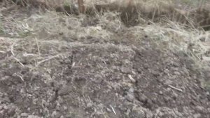 Обработка земли культиватором Ч1