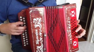 Гармонь Тульская 301