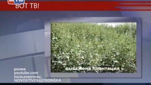 Над Волгодонском летает НЛО