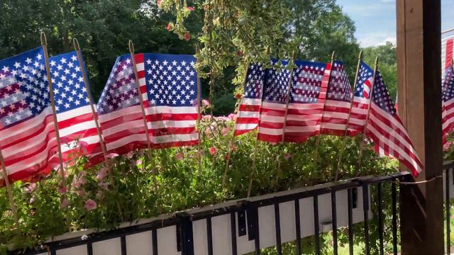 Supertunias on 4th of July, 2023! смотреть онлайн