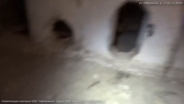Набережная 17 (01.12.2016) г. Березники. Очередной обход подвала смотреть онлайн