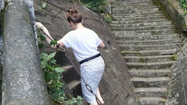 Шри-Ланка 2020 | большой золотой Будда | гигантский варан | обезьяны смотреть онлайн