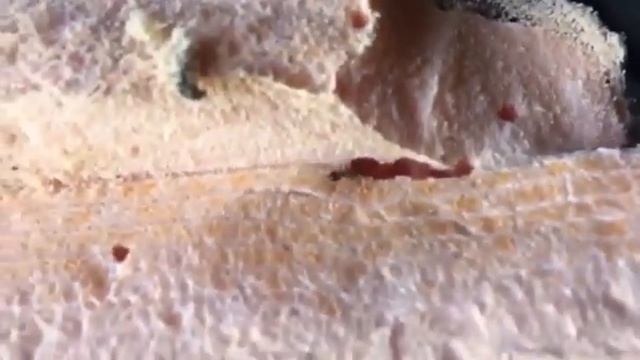 ПЕНОПЛЕКС не покупайте! смотреть онлайн