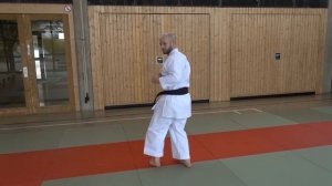 USHIRO GERI - УШИРО ГЕРИ
