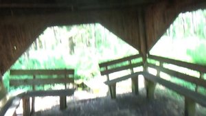 Рыбалка на озере Коломенское / Обзор базы отдыха Коломно