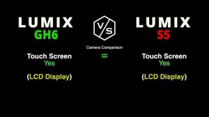 Panasonic LUMIX GH6 vs Panasonic LUMIX S5