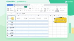 [WPS Academy] 1.7.6 Excel：Use slash header to show the title name