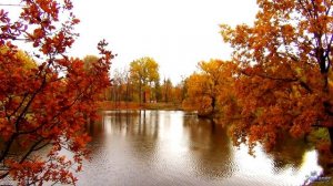 Царское Село. Александровский парк. Осень (2019)