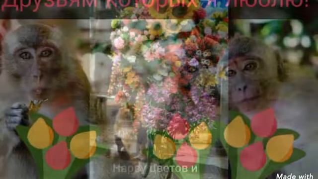 Я буду долго гнать велосипед. смотреть онлайн