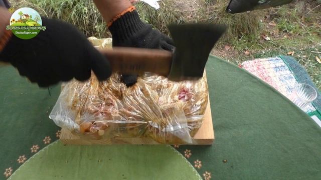 Курица на решетке, овощи-гриль на мангале.
