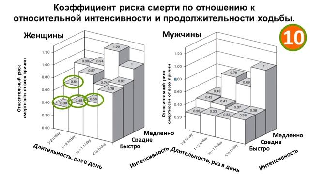 Какие виды спорта наиболее полезны и сколько именно ими нужно заниматься