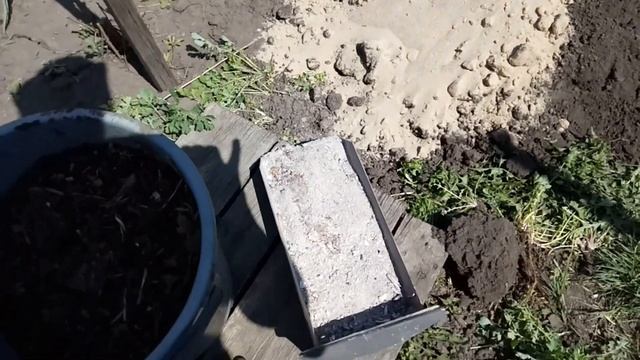 Посадка ЧЕРЕВИШНИ