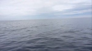 Рыбалка на Баренцевом море.