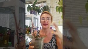 Что делать с пнями орхидей?