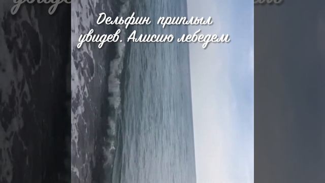 Геленджик -город мечты , роз и моря !