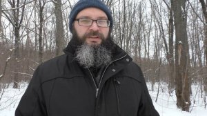 Как я чуть не умер от энергетиков
