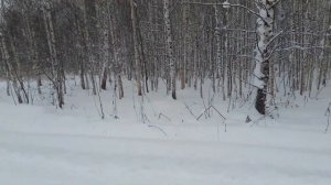 Осенняя охота на зайца после обильного снегопада.