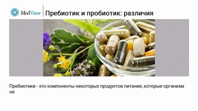 Пребиотик и пробиотик различия смотреть онлайн