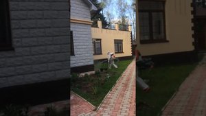 Обработка загородного участка от Комаров и клещей
