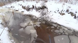 Охота #183 на кабана, в загоне и на номере