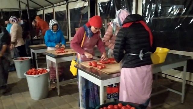 Кто такие вайшнавы? Что дает вера в Бога? Фестиваль Бхакти Сангама в Коблево. смотреть онлайн