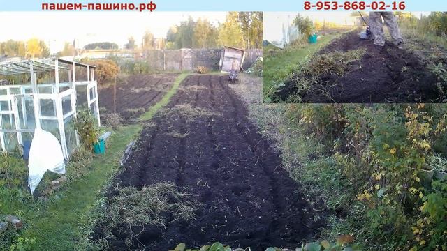 Очистка участка от сорняков культиватором с фрезами целина (когти). Вспашка земли в Гвардейском. смотреть онлайн