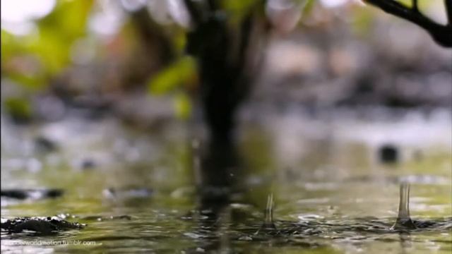 1класс 2021г  музыка 3 урок Всё в движении