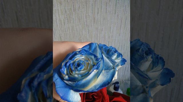 Самвел Адамян Сытники. Вы нас не ждали ? А мы приперлись..... смотреть онлайн