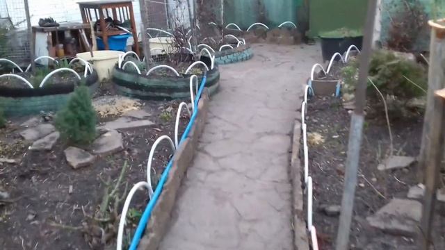 приображение цветника и цветение кизила