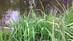 РЫБАЛКА НА РЕКЕ ОХТА#САНКТ-ПЕТЕРБУРГ