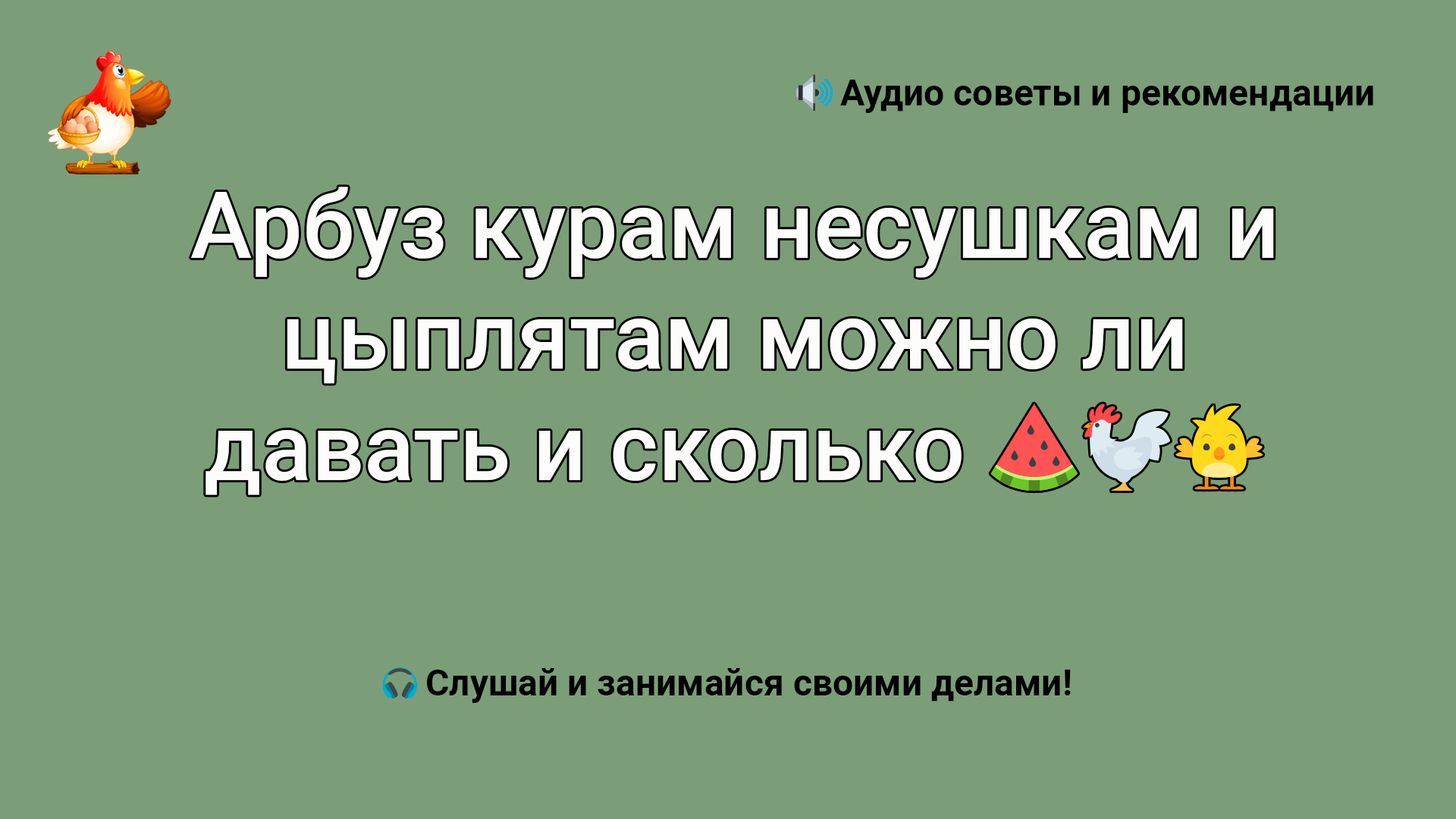 Арбуз курам несушкам и цыплятам можно ли давать и сколько ???