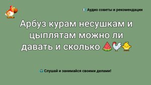Арбуз курам несушкам и цыплятам можно ли давать и сколько ???