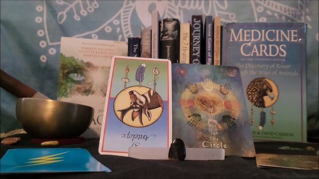 Scorpio Astro Oracle Card Reading- Participation Matters смотреть онлайн