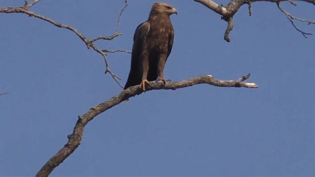 Река Болва смотреть онлайн