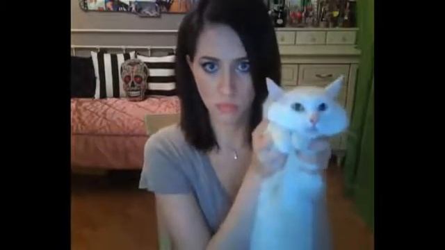 Рыжая лысая киска смотреть онлайн