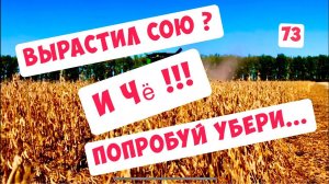 ПРОФЕССИОНАЛЬНАЯ УБОРКА СОИ ...