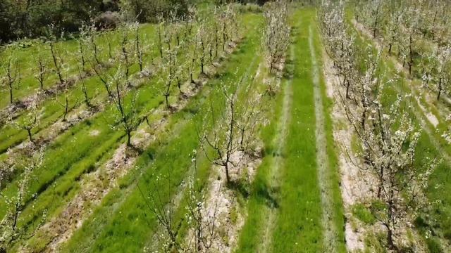 КЛИП НА ПЕСНЮ Юта - саунтрек из фильма " Пока станица спит" ? смотреть онлайн