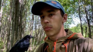 Сорока Пушок умер! В чём была причина?