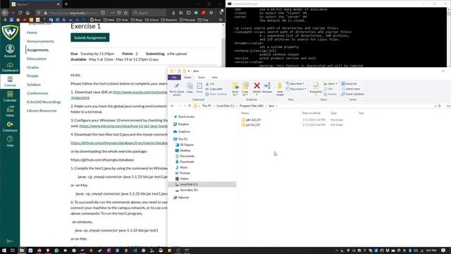 Exercise 1: Setting up Java JDK & Test Query | CSC 4710 смотреть онлайн