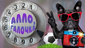 Алло, Галочка? #24(50)