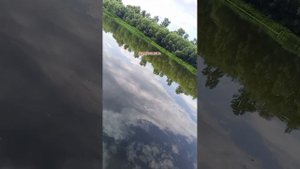 рыбалка на реке Дон