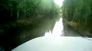 Дорога из Катыша на Ильичевку (начало июня)(ХМАО)