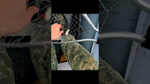 2 ЩУКИ СРАЗУ. Полное видео в профиле. Рыбалка в Якутии #fishing #рыбалка #щука
