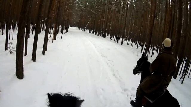 Зимняя прогулка верхом на лошадях.