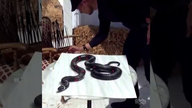 Крутое видео 3D я сам нарисовал очень красиво смотреть онлайн