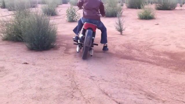 PANNONIA T5 смотреть онлайн